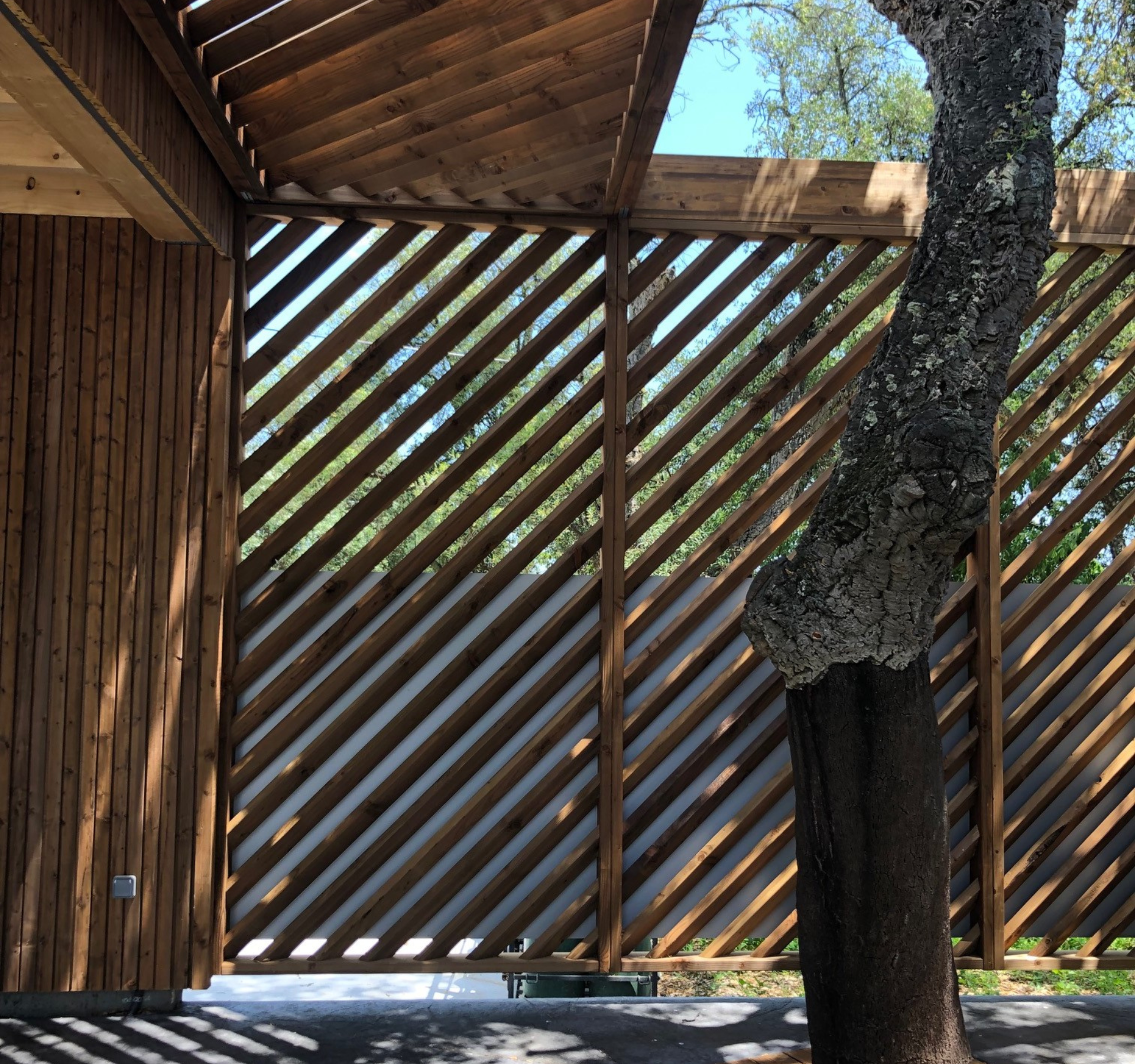 Design sans titre - 2024-07-31T113743.024